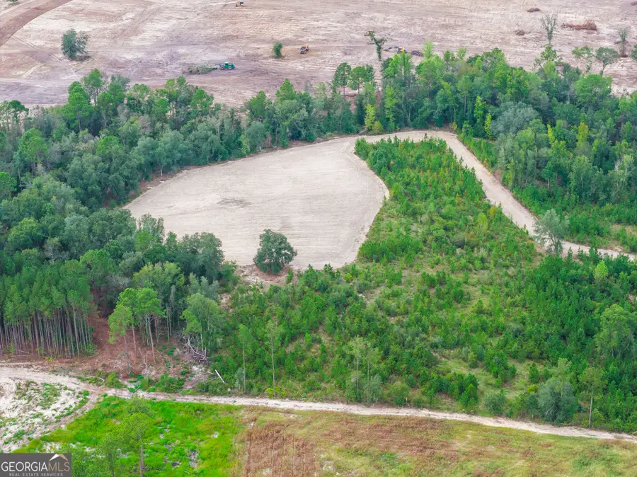 0 Oscar Tippins Road, Baxley, GA 31513 - #3