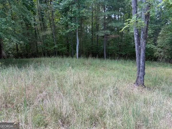 #41 Meadow Brooke Drive, Young Harris, GA 30582