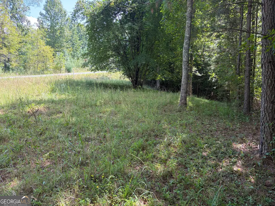 #41 Meadow Brooke Drive, Young Harris, GA 30582 - #2