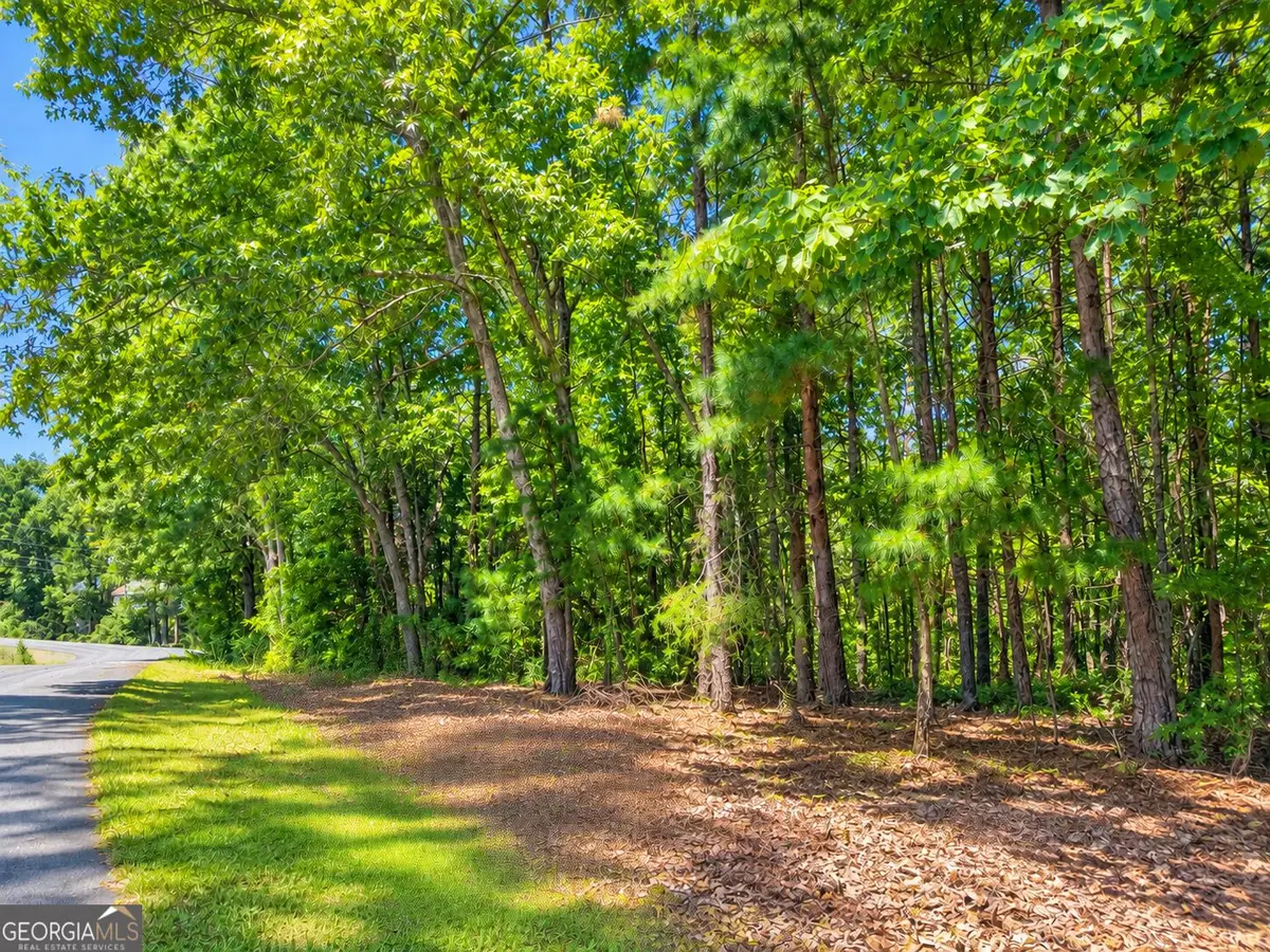 LOT 24 Oak Ct, Toccoa, GA 30577 - #1
