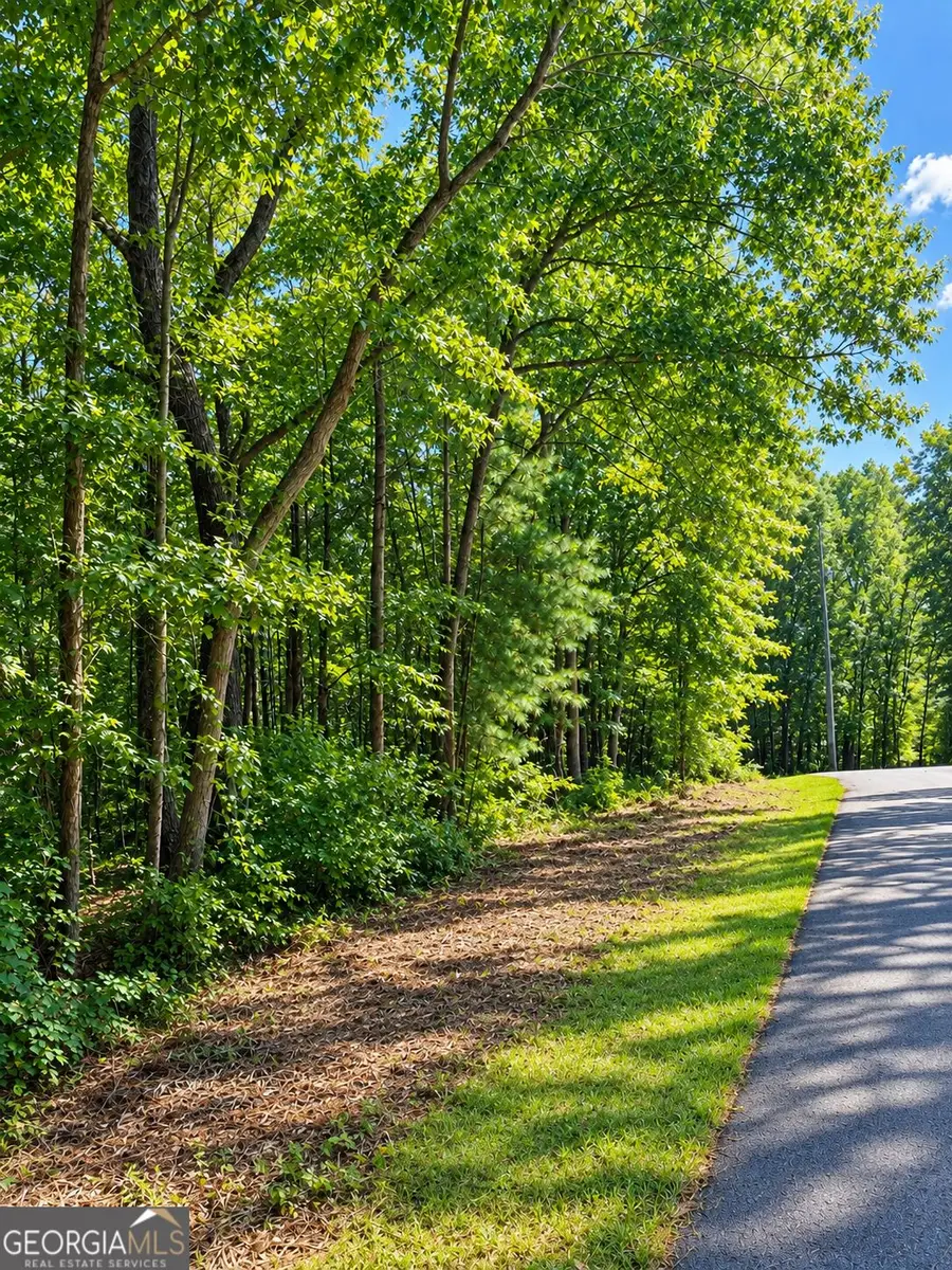 LOT 24 Oak Ct, Toccoa, GA 30577 - #2