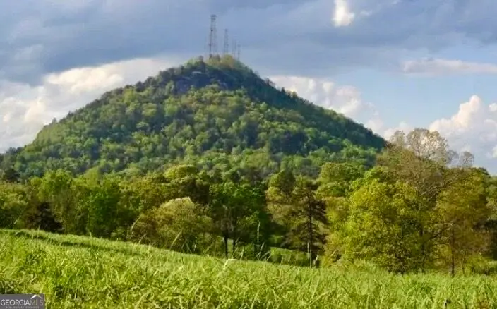 LOT 24 Oak Ct, Toccoa, GA 30577 - #3