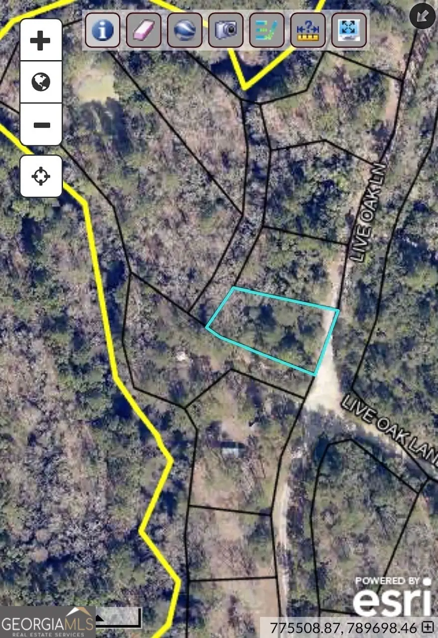 0 Live Oak Lane Road, Nevils, GA 31321 - #3