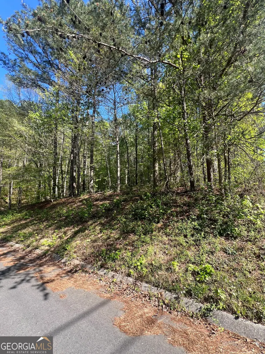 LOT #4 Battle Ridge Drive, Dalton, GA 30720 - #2
