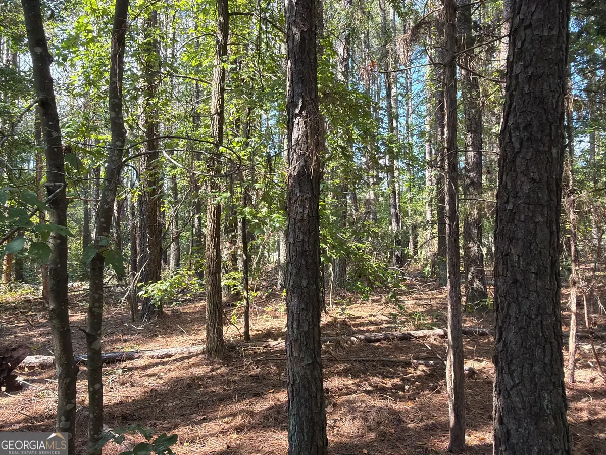 107 Popham Road, Taylorsville, GA 30178 - #1