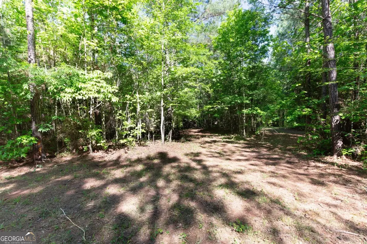 0 Apt To Miss Rd, Monticello, GA 31064 - #1