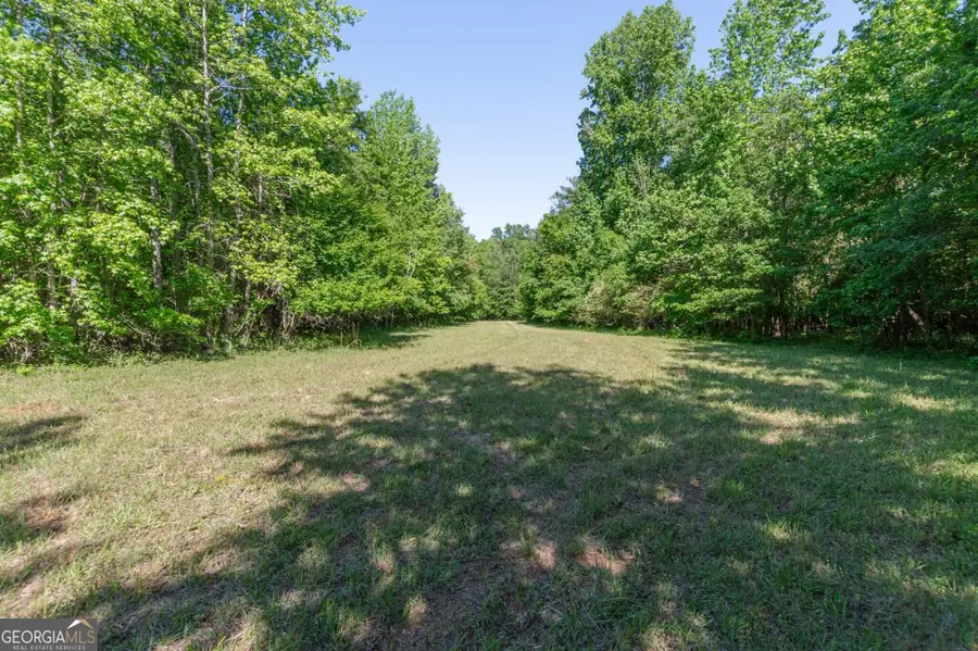 0 Apt To Miss Rd, Monticello, GA 31064 - #2