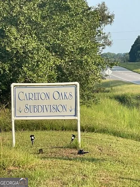 6423 Carlton Oaks Road, Garfield, GA 30425