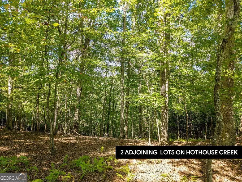 LT 27/28 Donna Lee Lane #27/28, Mineral Bluff, GA 30559 - #1