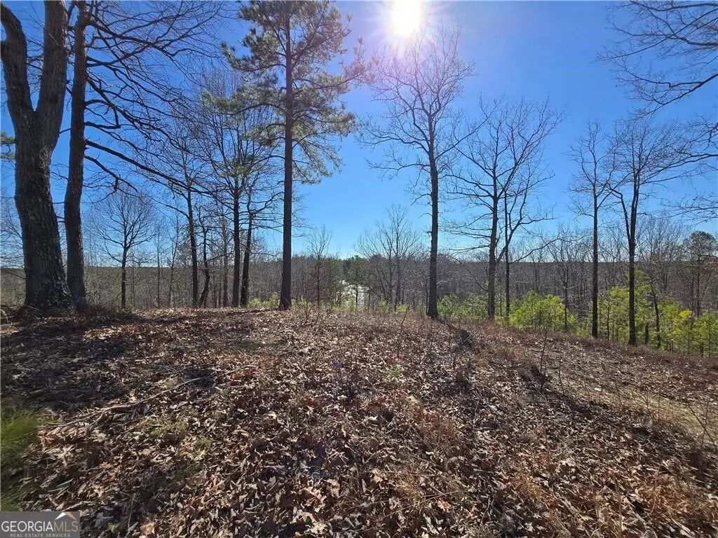 0 Brushy Mountain Road, Rockmart, GA 30153 - #1