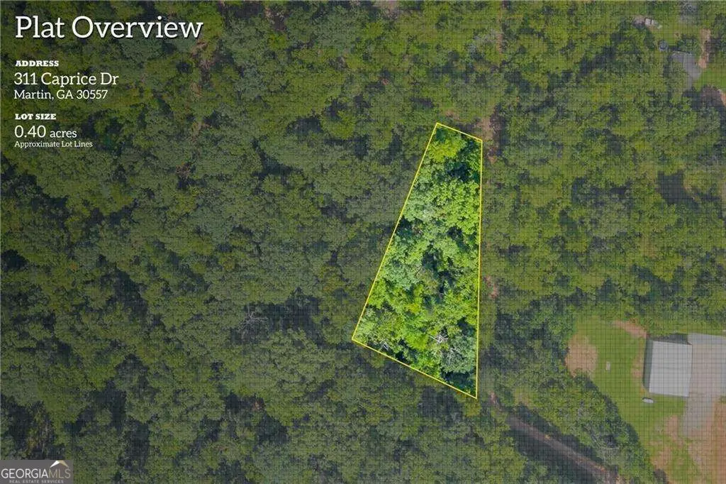 311 Caprice Drive, Martin, GA 30557 - #1