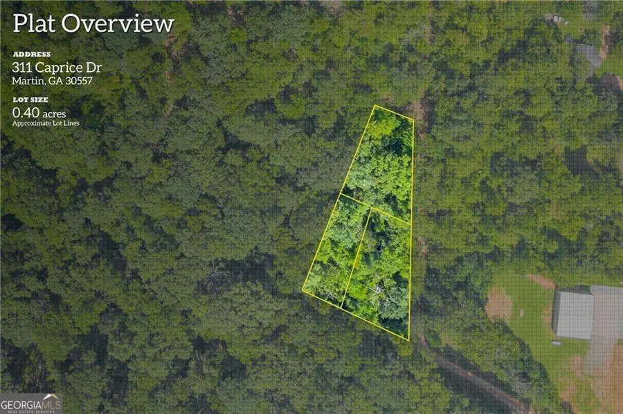 311 Caprice Drive, Martin, GA 30557 - #3