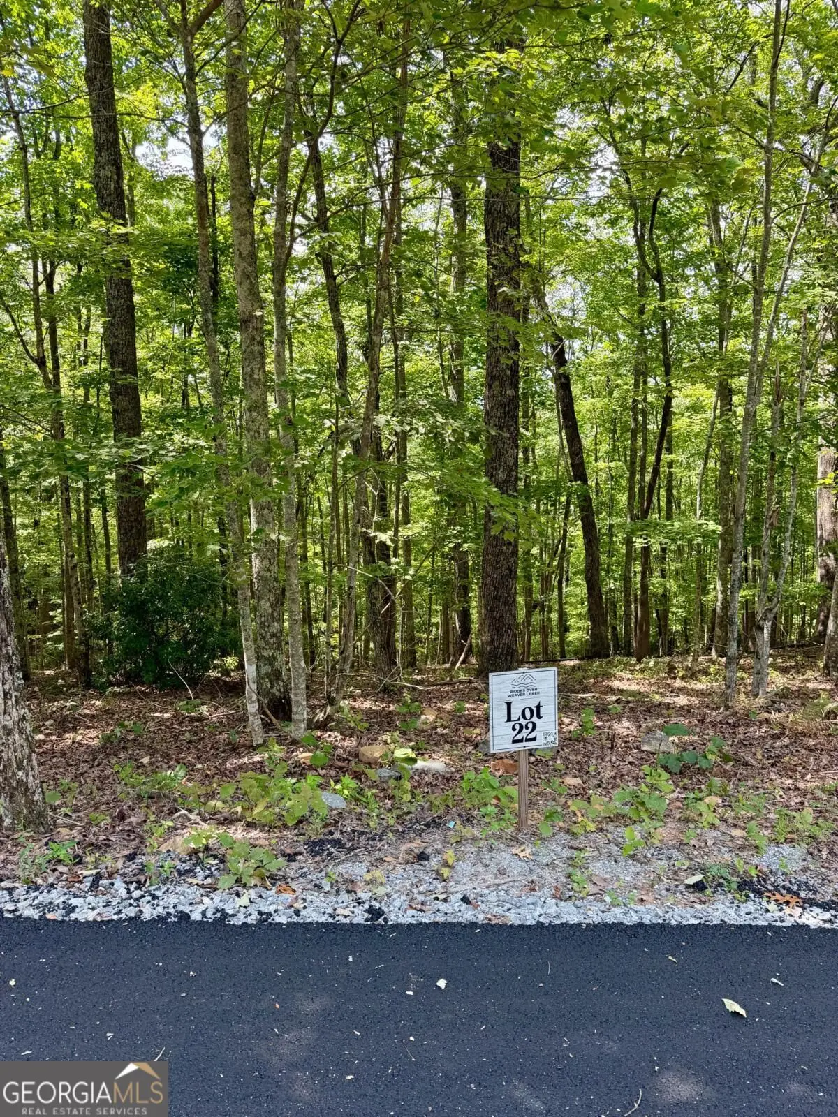LOT 22 Blue Horizon Drive, Blue Ridge, GA 30513 - #1