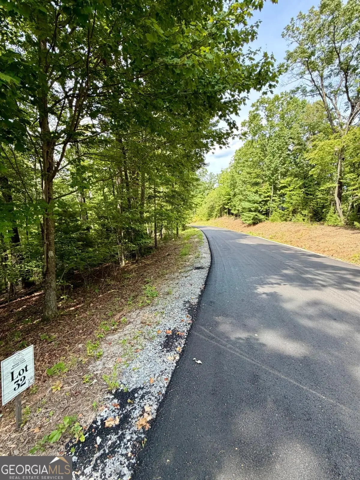 LOT 32 Blue Horizon Drive, Blue Ridge, GA 30513 - #1