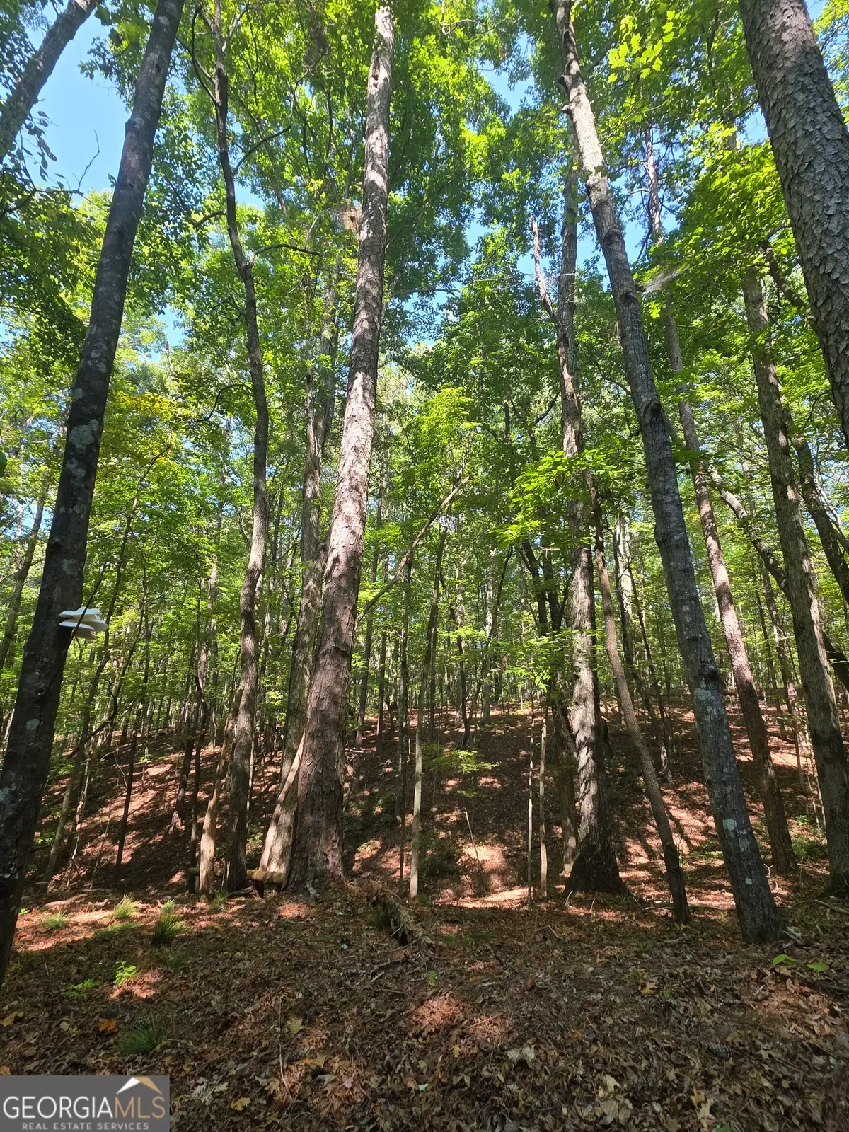 0 Browntown, Rockmart, GA 30153 - #1