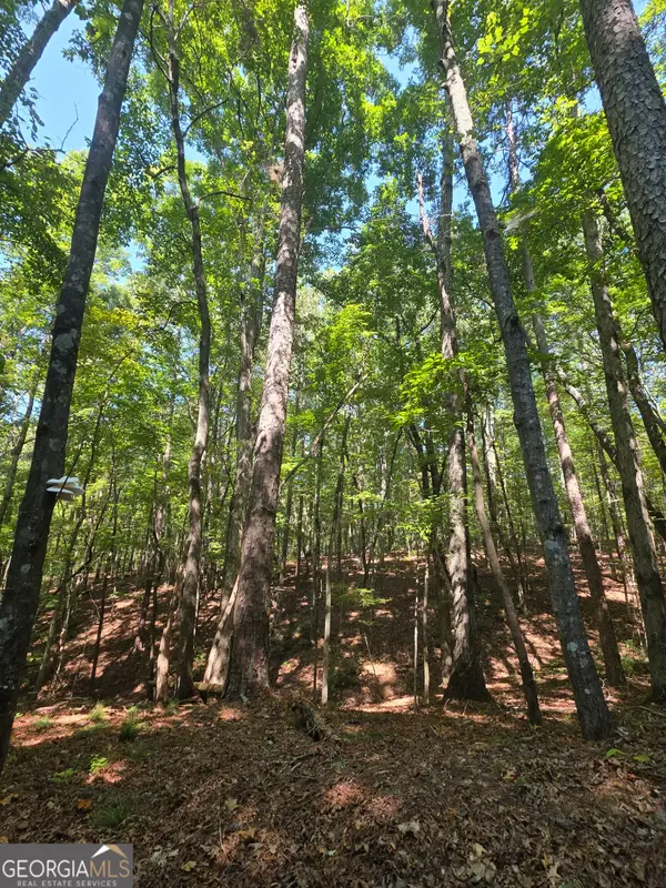 0 Browntown, Rockmart, GA 30153