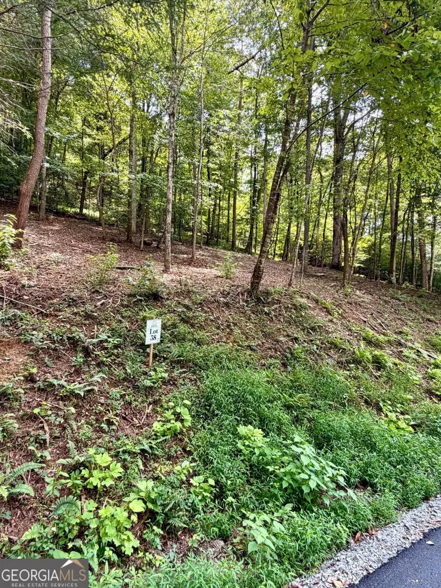 LOT 38 Blue Horizon Drive, Blue Ridge, GA 30513 - #3
