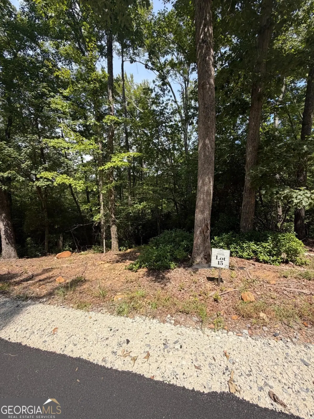 LOT 15 Sapphire Ridge, Blue Ridge, GA 30513 - #1