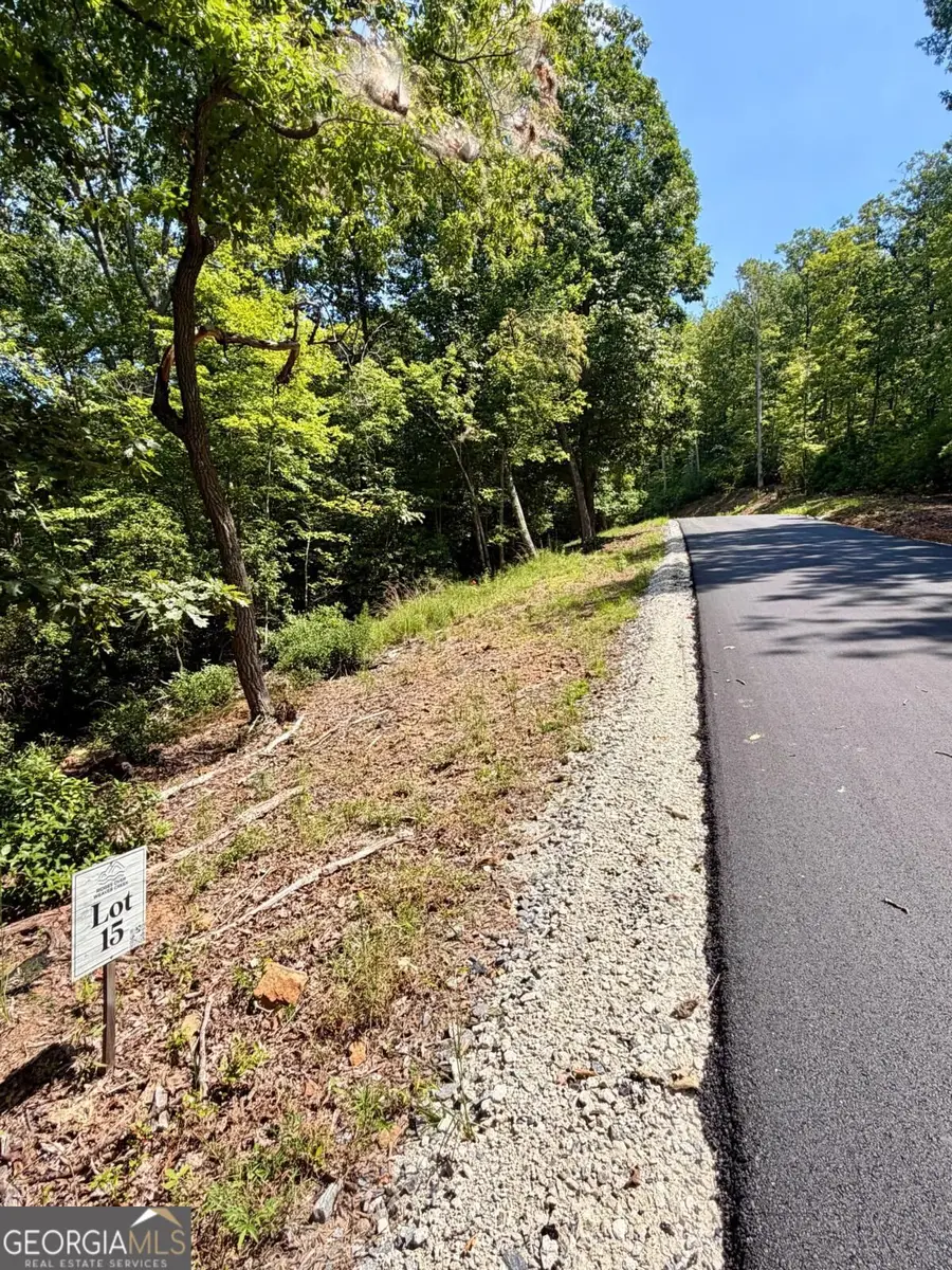 LOT 15 Sapphire Ridge, Blue Ridge, GA 30513 - #3