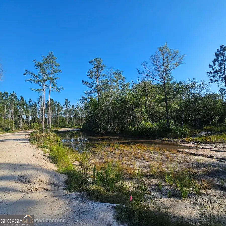 0 Mill Branch Club Road Lot 1p, Pembroke, GA 31321 - #2