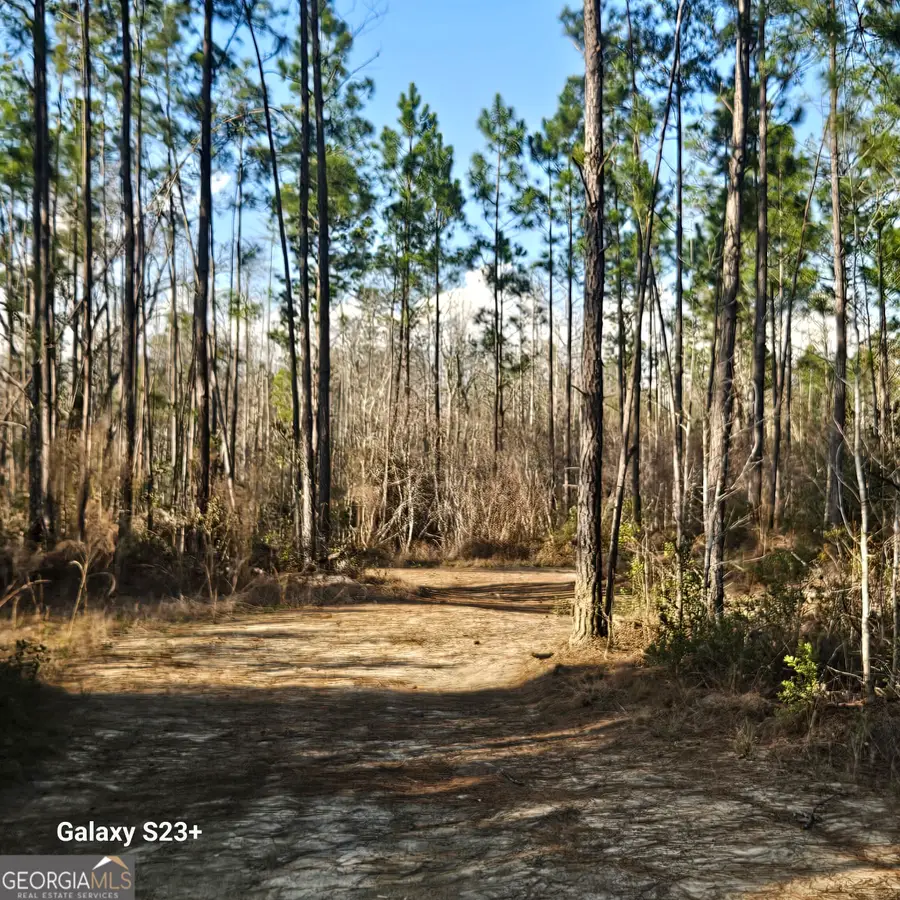 0 Mill Branch Club Road Lot 1q, Pembroke, GA 31321 - #2