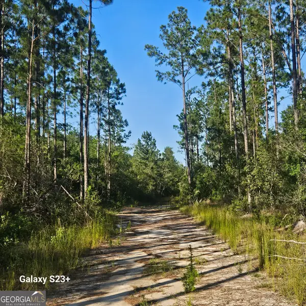 0 Mill Branch Club Road Lot 1n, Nevils, GA 31321