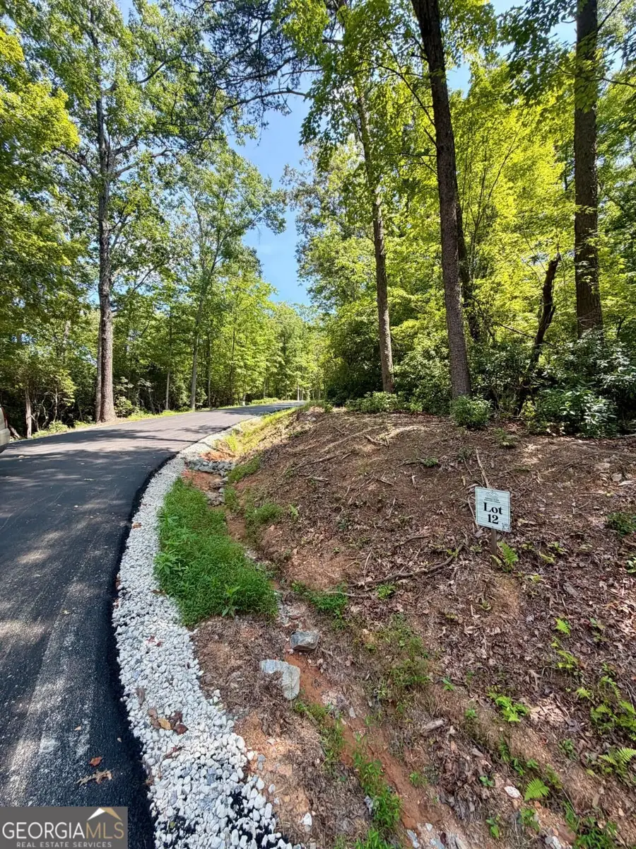 LOT 12 Sapphire Ridge, Blue Ridge, GA 30513 - #2