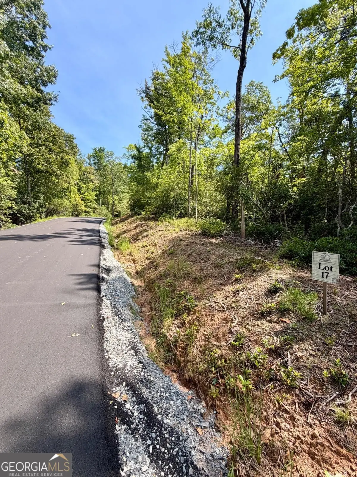 LOT 17 Turquoise Ridge, Blue Ridge, GA 30513 - #1