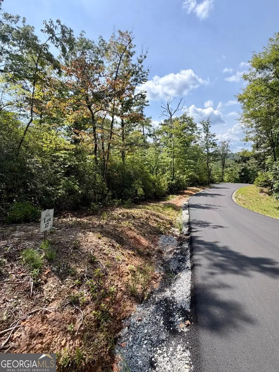 LOT 17 Turquoise Ridge, Blue Ridge, GA 30513 - #2