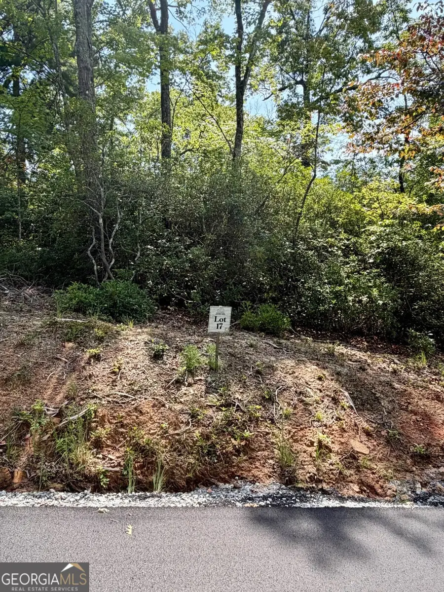 LOT 17 Turquoise Ridge, Blue Ridge, GA 30513 - #3
