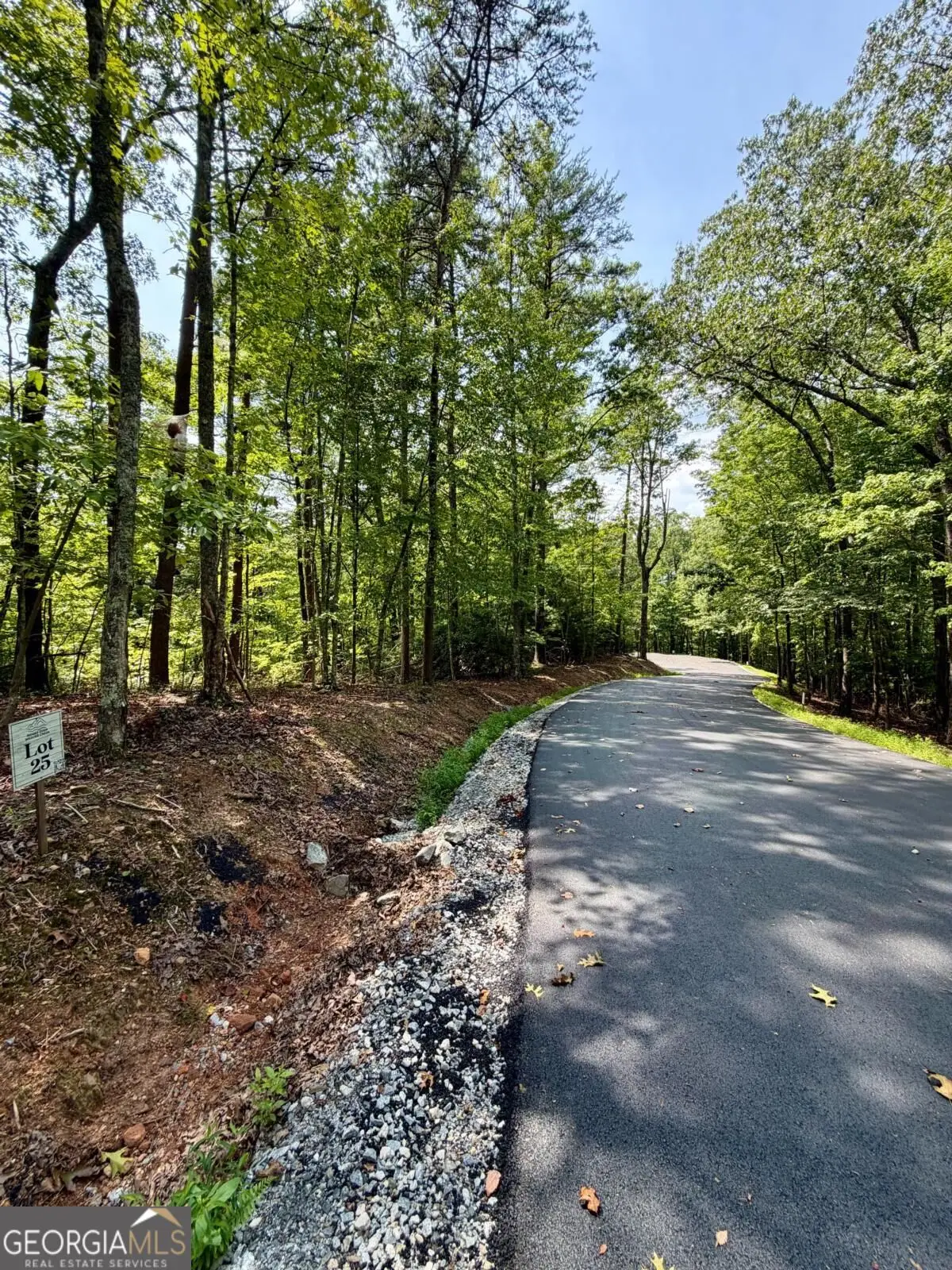LOT 25 Prospect Ridge, Blue Ridge, GA 30513 - #1