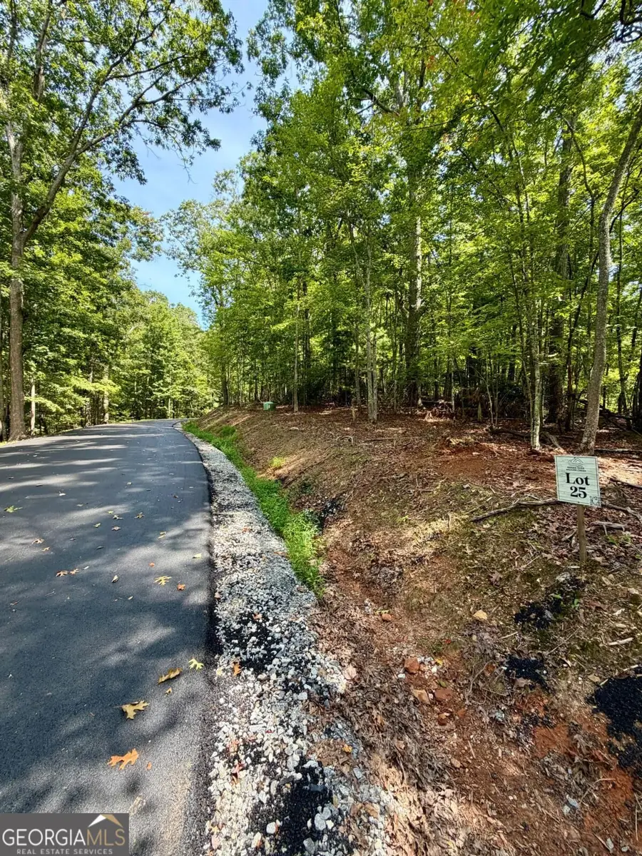 LOT 25 Prospect Ridge, Blue Ridge, GA 30513 - #2