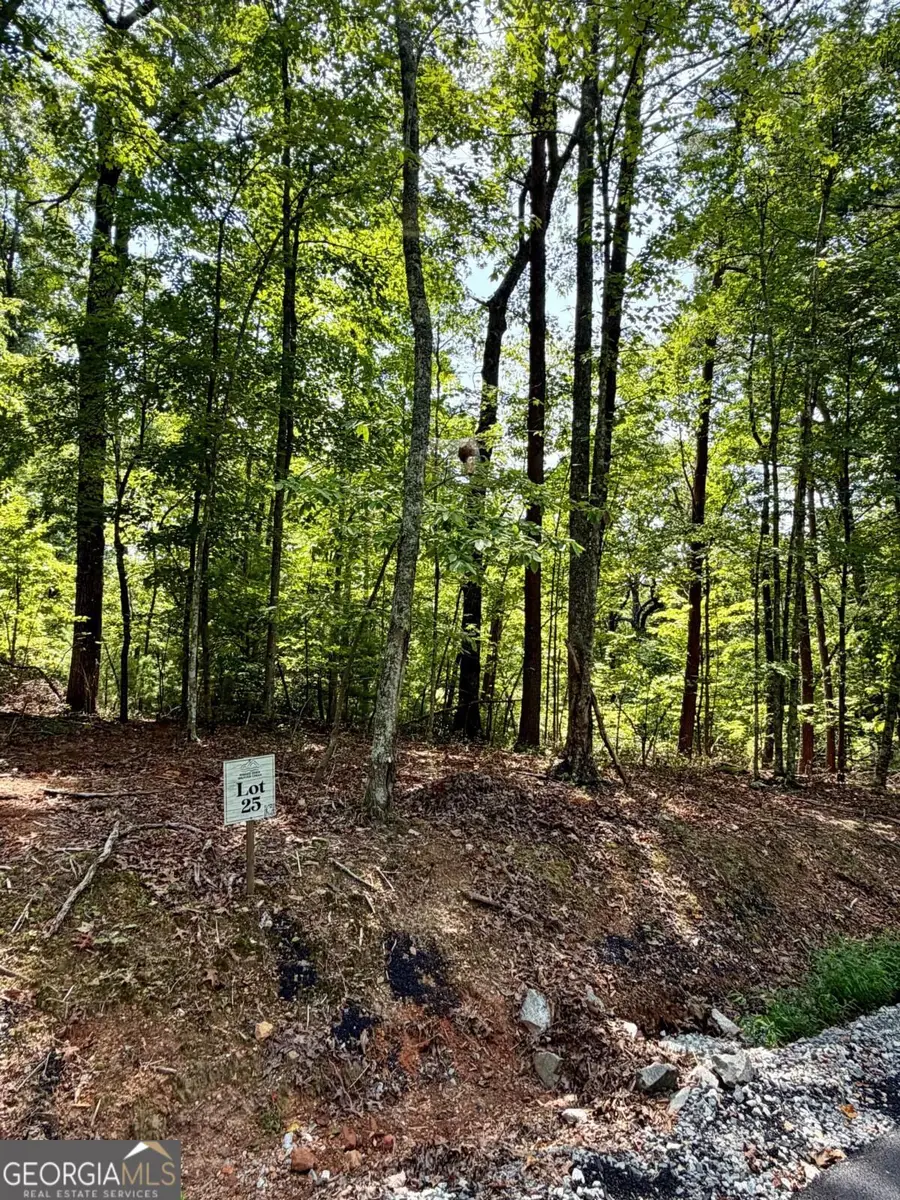 LOT 25 Prospect Ridge, Blue Ridge, GA 30513 - #3