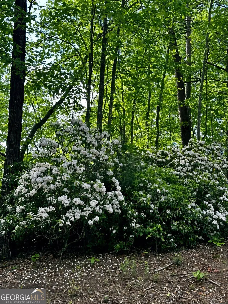 LOT 26 Prospect Ridge, Blue Ridge, GA 30513 - #3