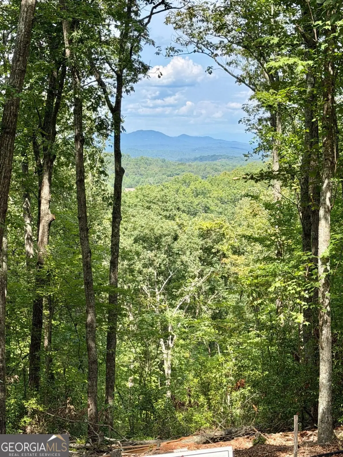 LOT 28 Prospect Ridge, Blue Ridge, GA 30513 - #1