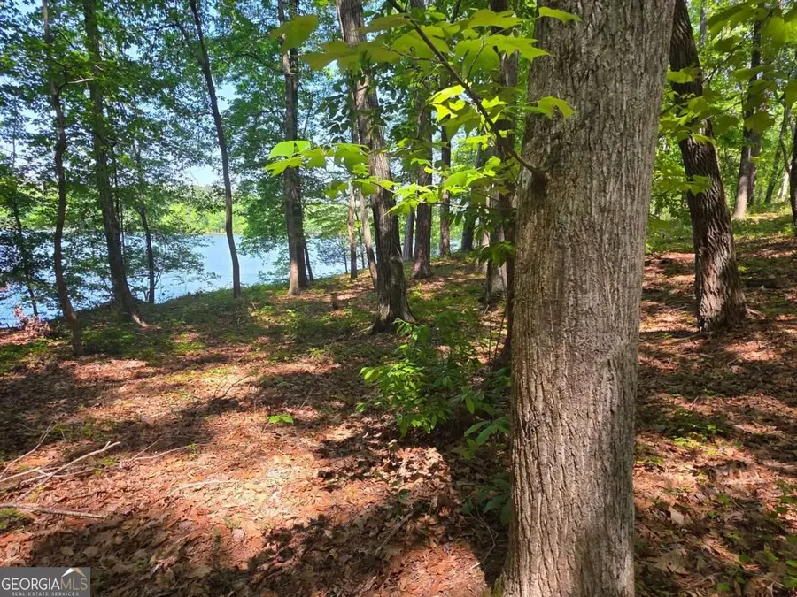 115 Cornish Trace Drive #LOT 11, Covington, GA 30014 - #3
