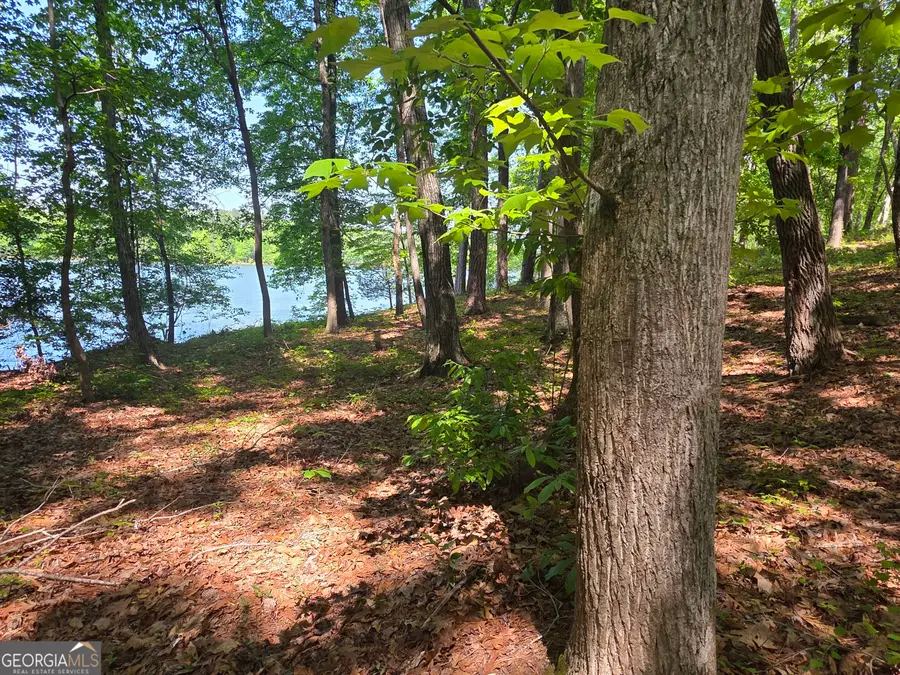 115 Cornish Trace Drive, Covington, GA 30014 - #3