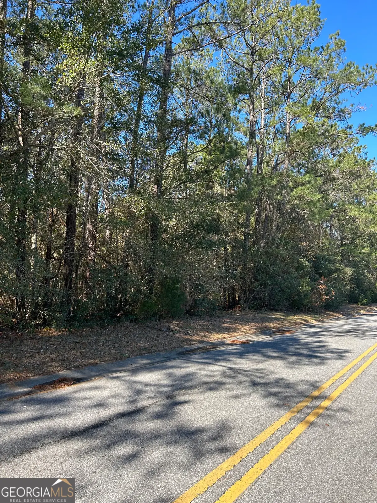 LOT 4 Palm Island Drive, Midway, GA 31320 - #1