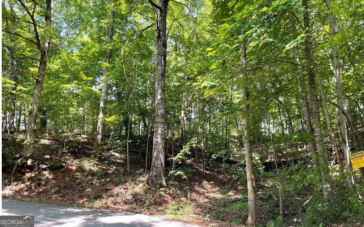 #7 Mountain Drive North, Hiawassee, GA 30546 - #1