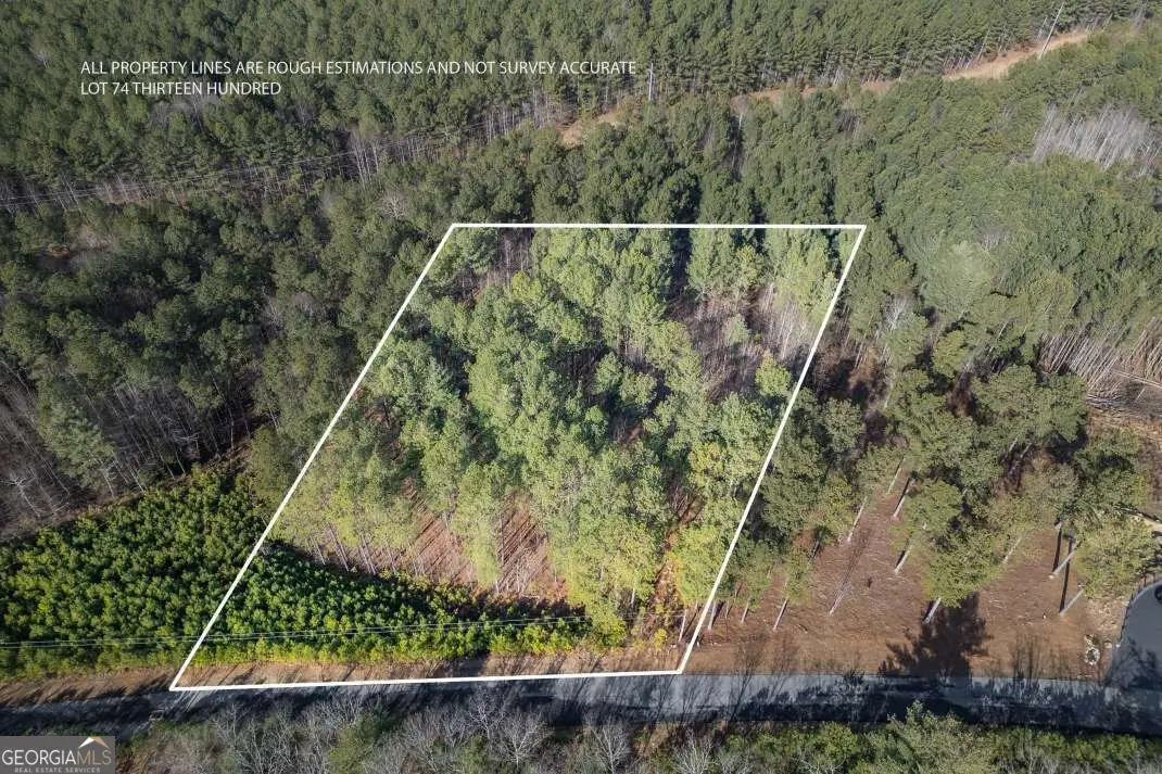 LOT 74 Thirteen Hundred #74, Blairsville, GA 30512 - #1