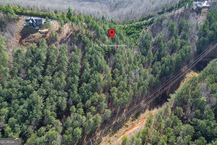 LOT 74 Thirteen Hundred #74, Blairsville, GA 30512 - #2