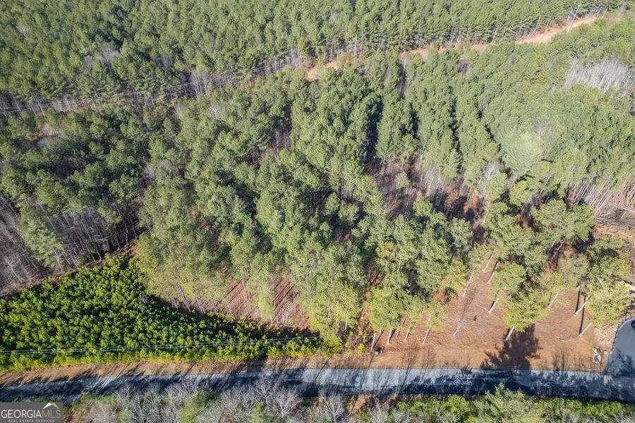 LOT 74 Thirteen Hundred #74, Blairsville, GA 30512 - #3