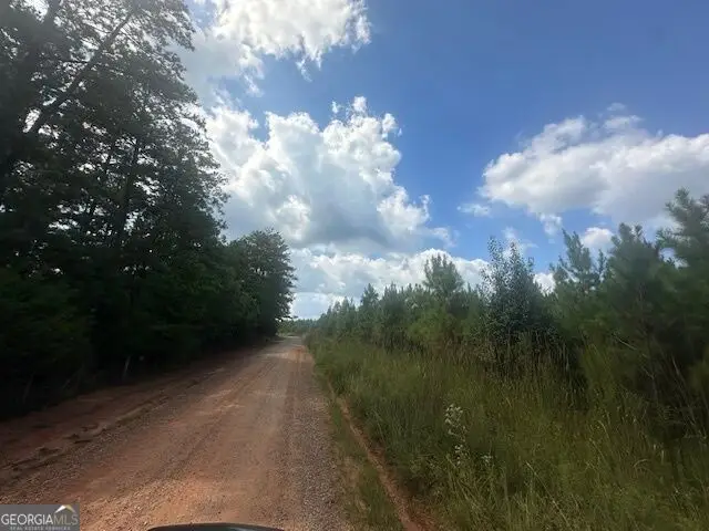 0 Cook Road #TRACT 3, Monticello, GA 31064 - #3