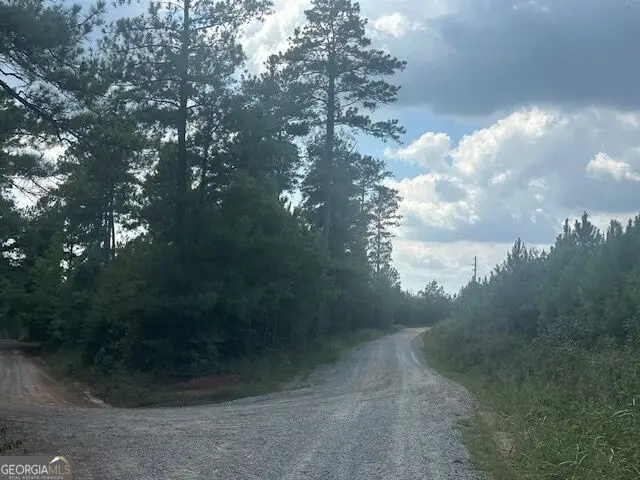 0 Cook Road #TRACT 4, Monticello, GA 31064 - #3