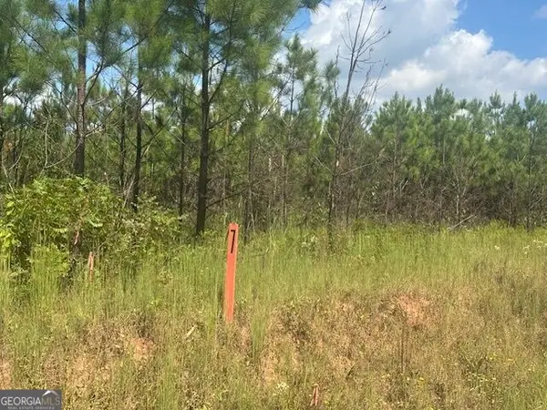 0 Cook Road #TRACT 7, Monticello, GA 31064