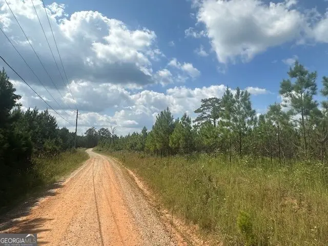 0 Cook Road #TRACT 7, Monticello, GA 31064 - #2