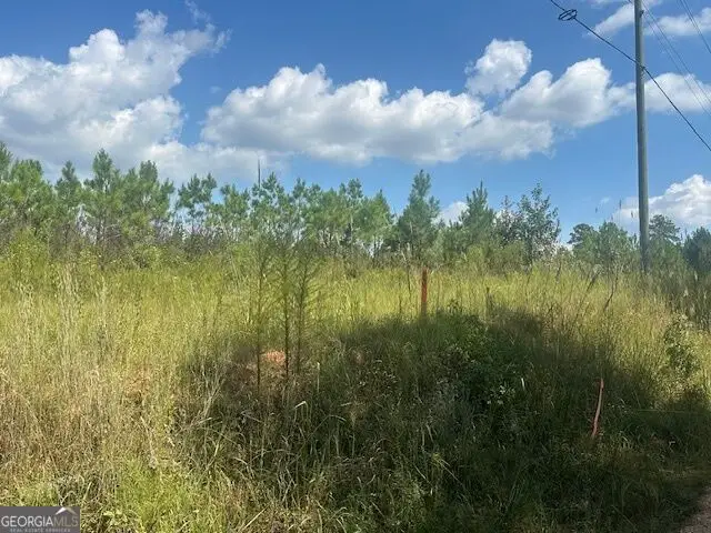 0 Cook Road #TRACT 9, Monticello, GA 31064 - #3