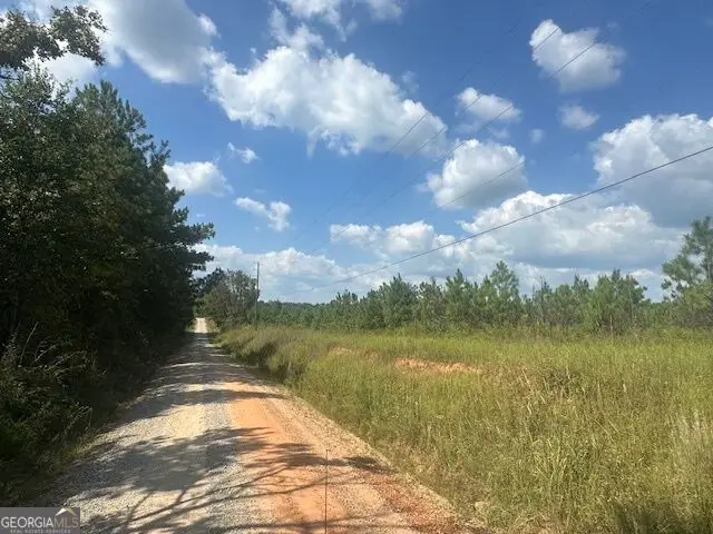 0 Cook Road #TRACT 10, Monticello, GA 31064 - #3