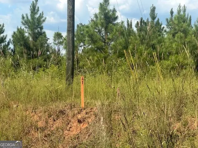 0 Cook Road #TRACT 11, Monticello, GA 31064 - #3