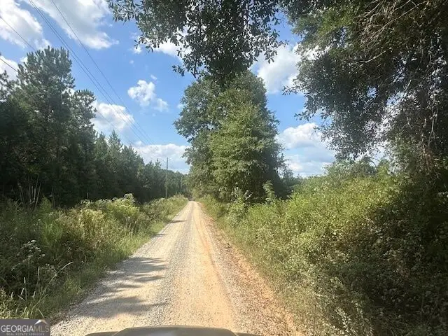 0 Cook Road #TRACT 13, Monticello, GA 31064 - #3